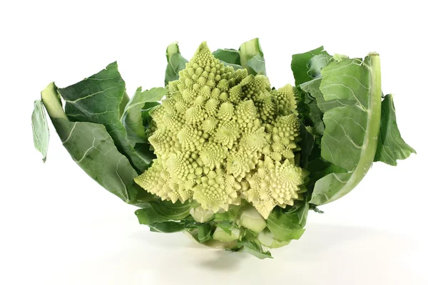 Broccoli romanesco freschi e luminosi — Foto Stock