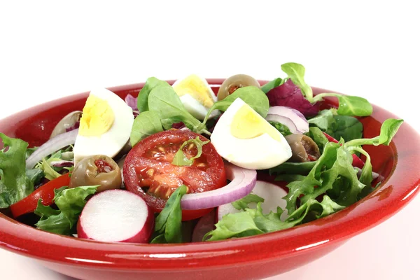 Chief salad — Stock Photo, Image