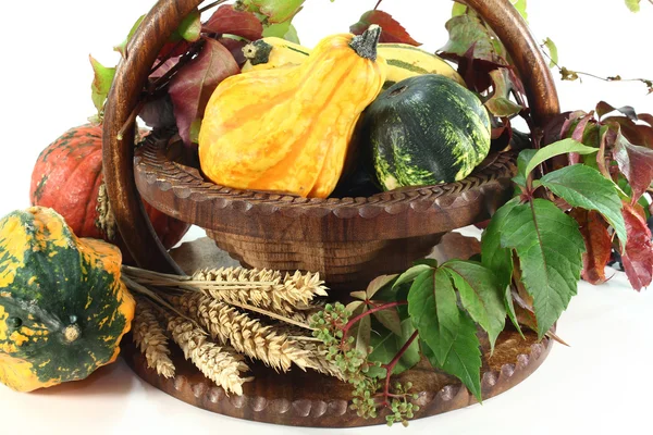 Decorative gourd — Stock Photo, Image