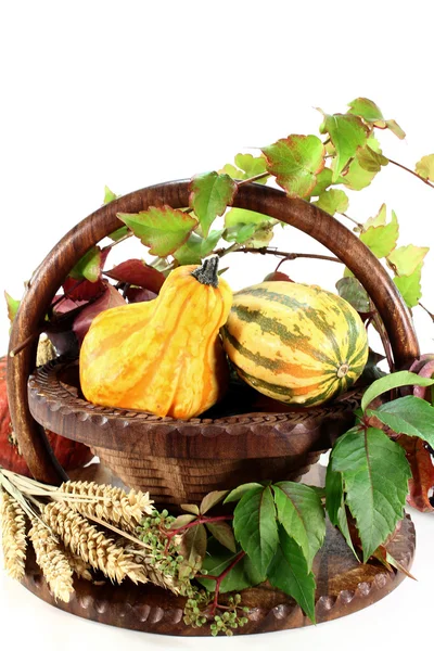 Decorative gourd — Stock Photo, Image