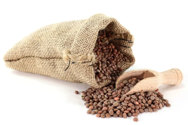 Mountain lentils — Stock Photo, Image