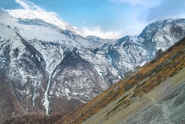 Snöiga tibetanska bergen — Stockfoto