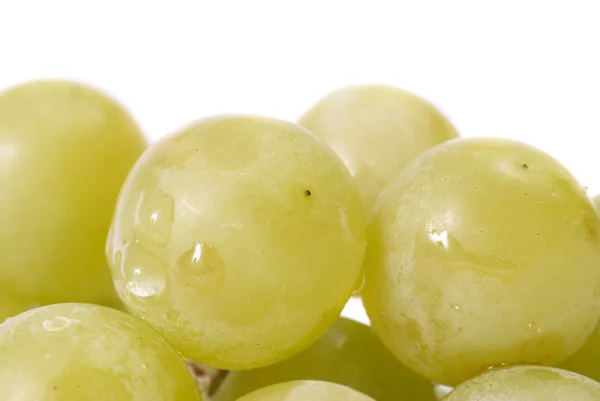 Witte druiven — Stockfoto