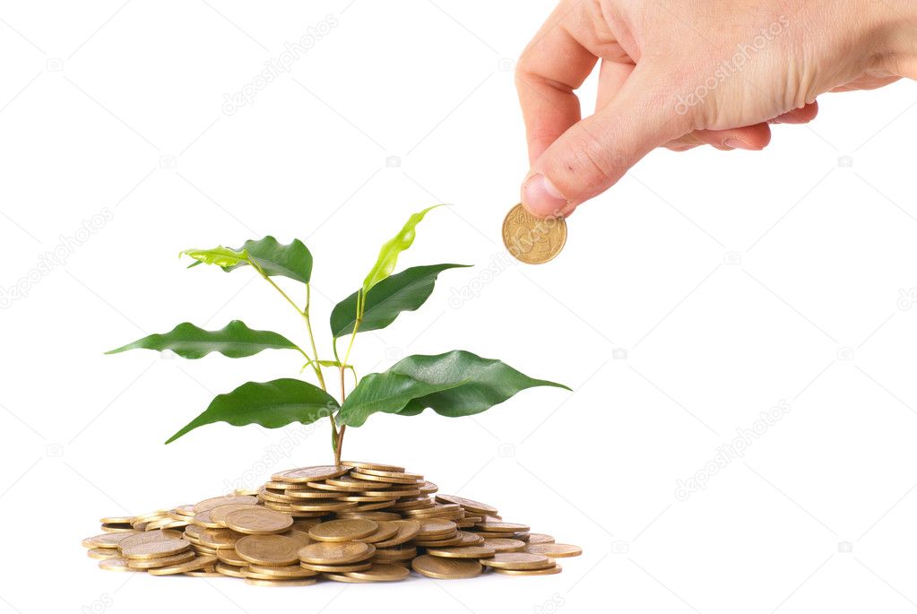 Green plant growing from the coins