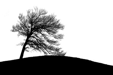 Ağaç'ın siluet
