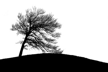 Tree's silhouette clipart