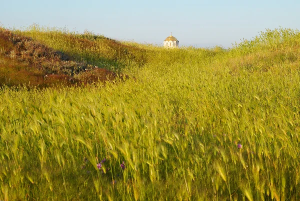 Поле травы и храм. Херсонес, Античный . — стоковое фото