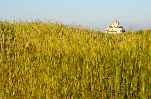 Campo de hierba y el templo. Quersonesos antiguos . —  Fotos de Stock