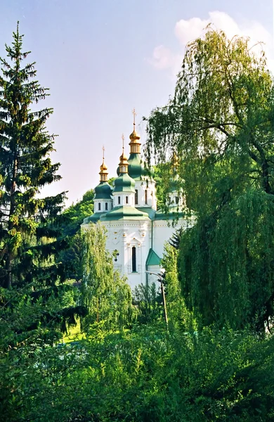 Церковь и зеленые деревья . — стоковое фото