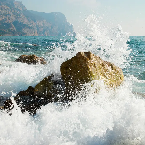 嵐だ。波と海泡. — ストック写真