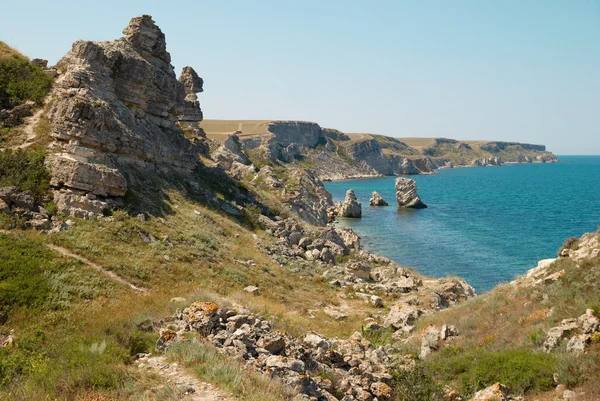 Una costa con muchas rocas grandes . —  Fotos de Stock