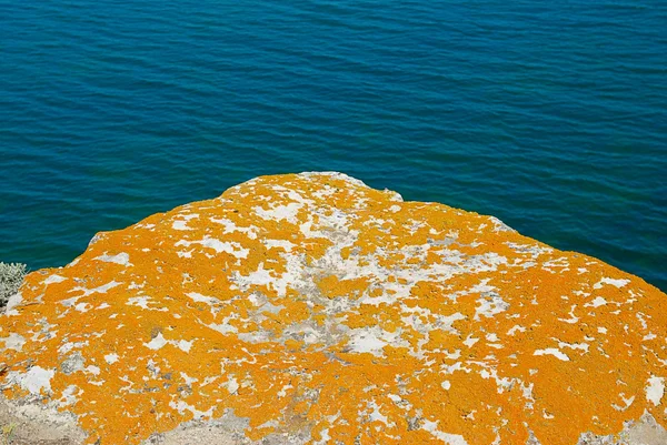 Texture of lichen on the stone and the sea. — Stock Photo, Image
