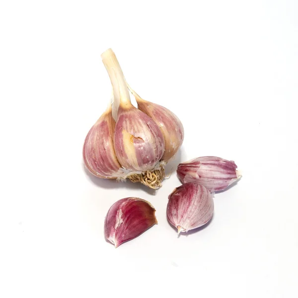 A garlic bulb isolated on white. — Stock Photo, Image