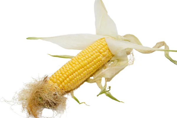 Gelber Mais isoliert auf weißem Mais. — Stockfoto