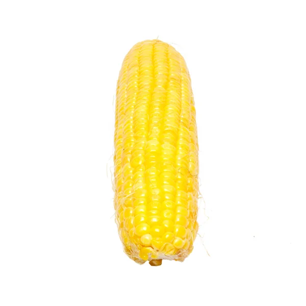 Amarelo milho jovem isolado no branco . — Fotografia de Stock