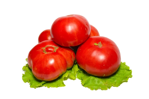 大红色蕃茄与莴苣上白色隔离. — 图库照片