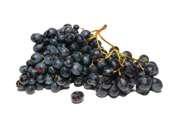 Black grapes isolated on white. — Stock Photo, Image