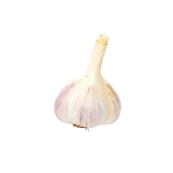 Un bulbo di aglio isolato su bianco . — Foto Stock