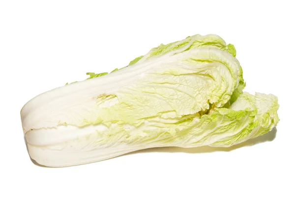 Pekingese cabbage isolated on white. — Stock Photo, Image