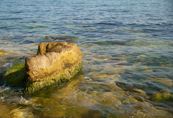 一块大石头以绿色海洋藻类. — 图库照片