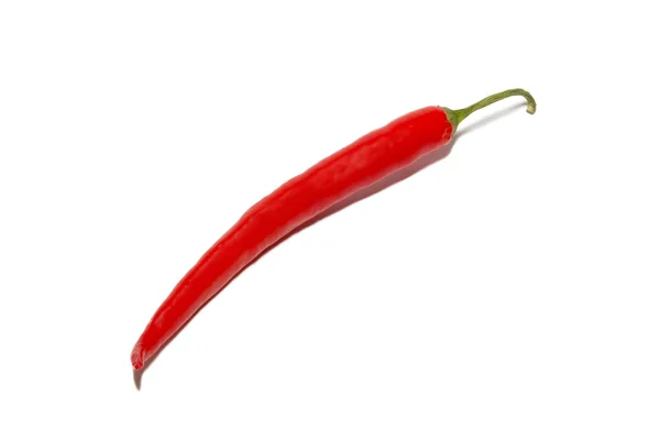 Red hot chilli pepř izolované na bílém. — Stock fotografie