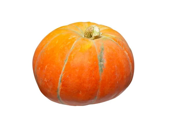 Orange pumpkin isolated on white. — Stock Photo, Image
