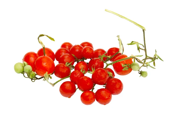 Röda små tomater isolerad på vit. — Stockfoto