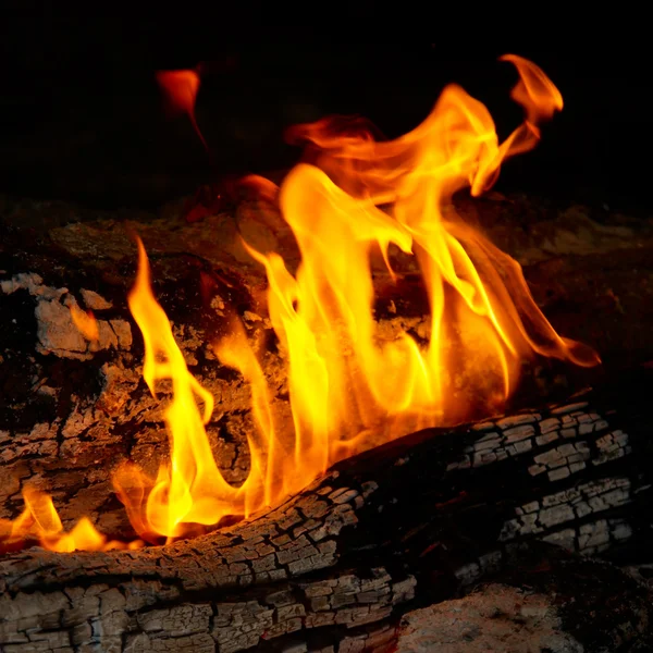 Flame tips on the firewood. — Stock Photo, Image