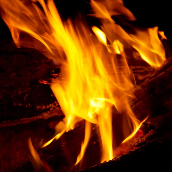 Embouts de flamme sur le bois de chauffage . — Photo