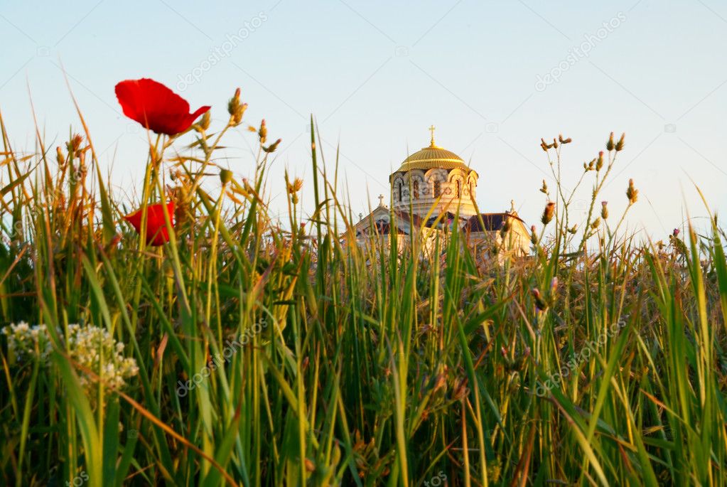 Temple and the poppy.