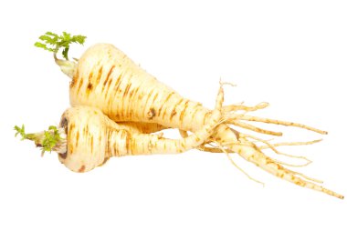 Parsnip isolated on white. clipart