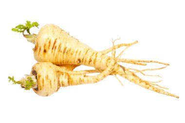 Parsnip isolated on white. clipart