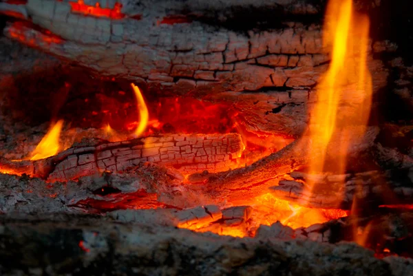 Vlam tips over de brandhout. — Stockfoto
