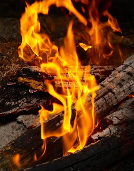 Dicas de chama na lenha . — Fotografia de Stock
