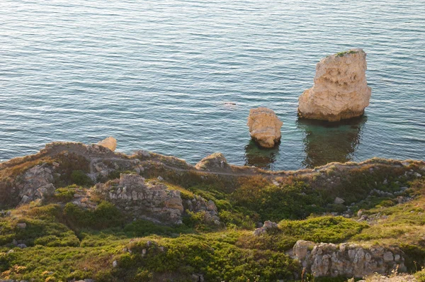 En kust med många stora stenar. — Stockfoto
