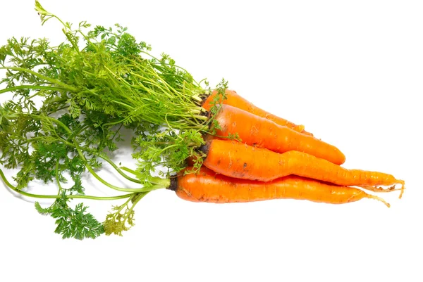 Морковь изолирована на белом. — стоковое фото