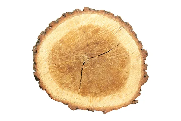 Elszigetelt fehér fa stump. — Stock Fotó