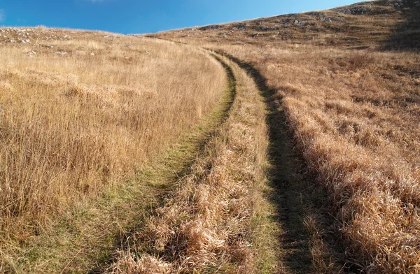 Landweg via het grasveld. — Stockfoto