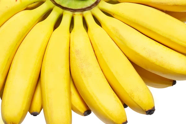 Schlachtung von kleinen Bananen. — Stockfoto