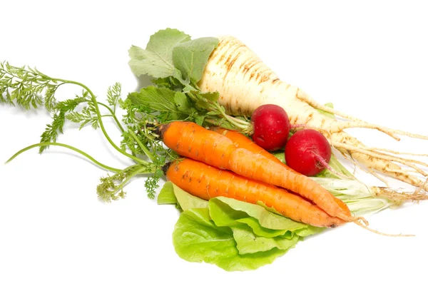 Carrots, radishes and parsnip with green lettuce isolated on wh — Stock Photo, Image