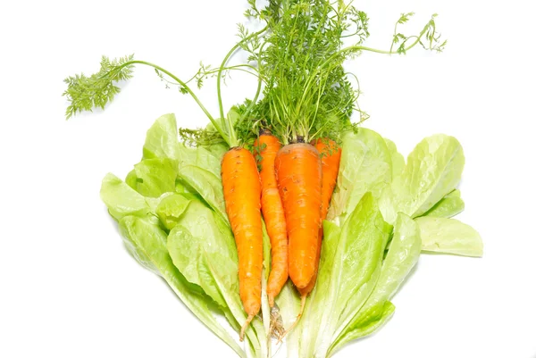 Carrots on the green lettuce isolated on white. — Stock Photo, Image