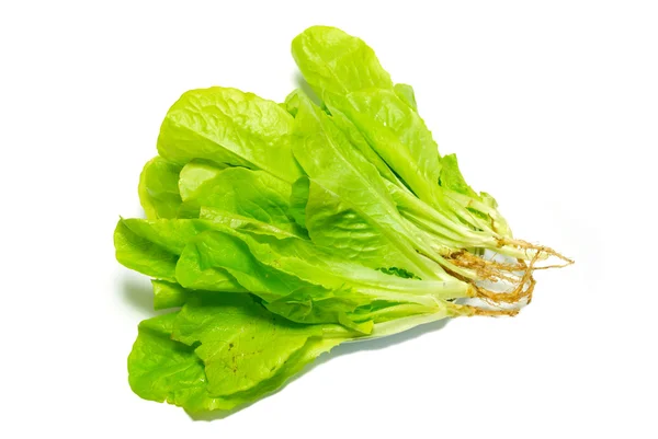 Зелений салат ізольований на білому . — стокове фото