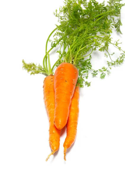 Carrots isolated on white. — Stock Photo, Image