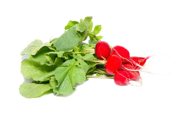 Bunch of red radish isolated on white. — Stock Photo, Image