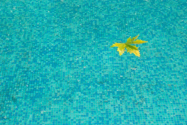 Powierzchnię wody niebieski żółty liść. — Zdjęcie stockowe