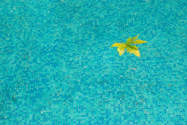 stock image Blue water surface with yellow leaf.