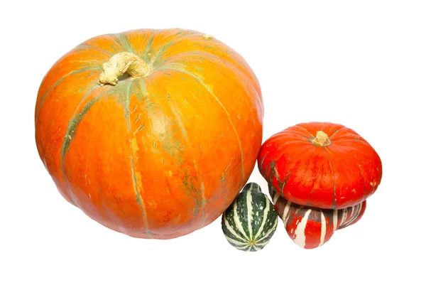 Three colored pumpkins isolated on white. Royalty Free Stock Photos