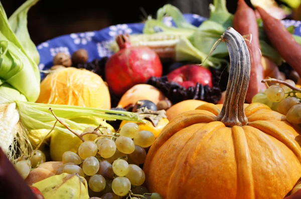 stock image Autumn fruits and vegs