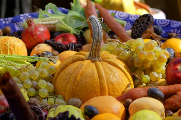 stock image Autumn fruits and vegs