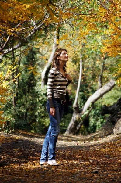 stock image Nice young woman walk in autumn park